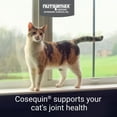 thumbnail image 2 of Nutramax Cosequin for Cats Joint Health Supplement, Contains Glucosamine for Cats, Plus Chondroitin, Supports Healthy Joints, Sprinkle Capsules, 55 Count, 2 of 9
