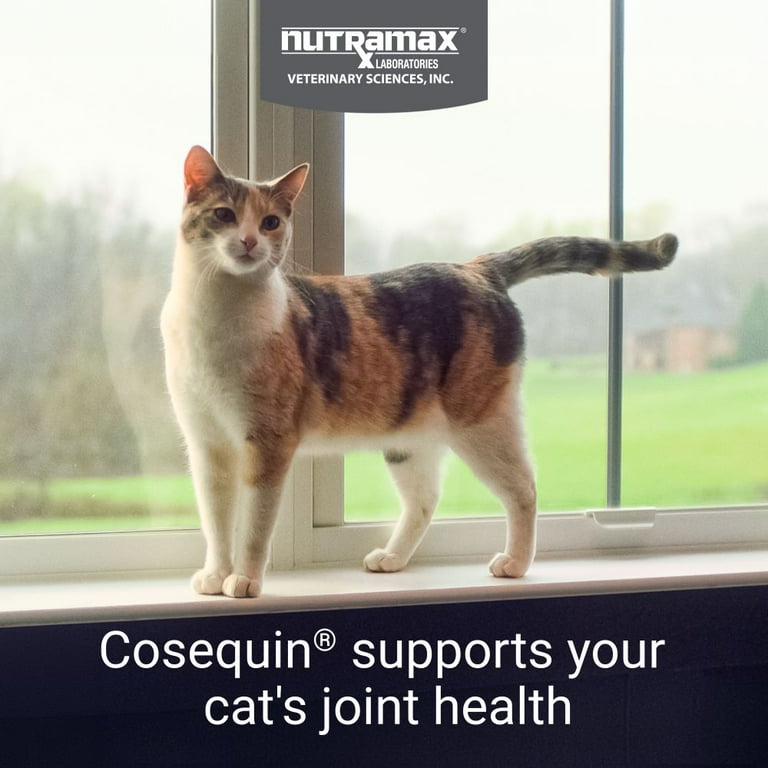 Nutramax Cosequin Joint Health and Mobility Supplement for