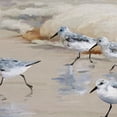 thumbnail image 3 of Masterpiece Art Gallery Sandpiper Beach I Amber By Studio Arts Canvas Art Print 20" x 20", 3 of 4