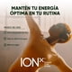 thumbnail image 5 of Recover - Electrolitos Sin Azucar + Aminoácidos | Bebida Orgánica en Polvo Post Workout | Sin Azúcar | Sabor Limón y Miel | 50 Porciones | 500 gr | Suplementos Gym, 5 of 7