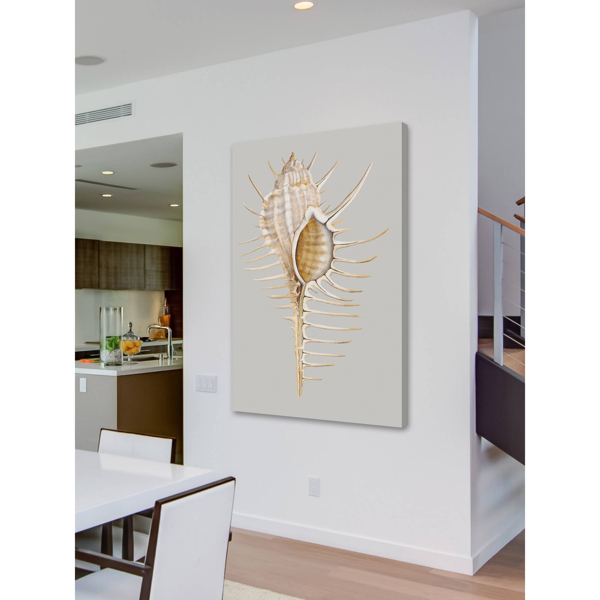 Marmont Hill "Spiny Murex" Painting Print on Wrapped Canvas