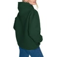 thumbnail image 2 of Women's Starter Kelly Green Boston Celtics Arch Stripe Fleece Hoodie, 2 of 3