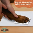 thumbnail image 6 of Better World Pets Pet Memorial Frame with Clay Paw Print Kit - Holds 4x6 Photo, Grey, 6 of 12