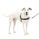 thumbnail image 1 of Arnés para perros PetSafe Easy Walk No-Pull, tamaño medio/grande, negro y plateado, 1 of 6