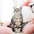 thumbnail image 2 of Miaocao XSmall Dog Collar with Bell,(2 Pack Pink+Beige) Cat Collar with Bells Flower Suede Girl Cute Fancy Puppy Collar with Bells for XXS XS Tiny Little Kitten Pet Female Dogs,Neck 8-12 Inch, 2 of 7