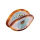 thumbnail image 5 of Pinzas para el cabello con forma de mandíbula, pinzas para el cabello con forma de ojo, pinzas para el cabello con forma de ojo, pinzas para el cabello con características mejoradas, 5 of 14