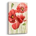 thumbnail image 2 of Epic Art 'Poised Poppy I' by Grace Popp, Acrylic Glass Wall Art, 24"x36", 2 of 8