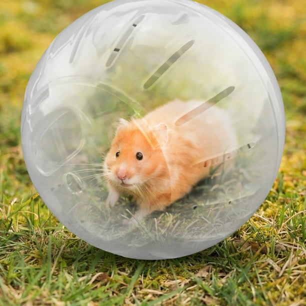 Pet Mini Jogging Ball Hamster Ejercicio Plástico Transparente Trot Ball Juguetes (Blanco) Ndcxsfigh Nuevos Originales