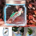 thumbnail image 1 of Calcomanías de vidrio para ventana de arco iris de mariposa hexagonal con prisma reutilizable para prevención de adherencia de ventana Wmkox8yii HKAHFKAH295, 1 of 6