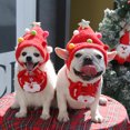 thumbnail image 5 of Gato Teddy Pomerania Otoño/Invierno Navidad disfraz MFZFUKR CPB-US-XD1464-1, 5 of 5