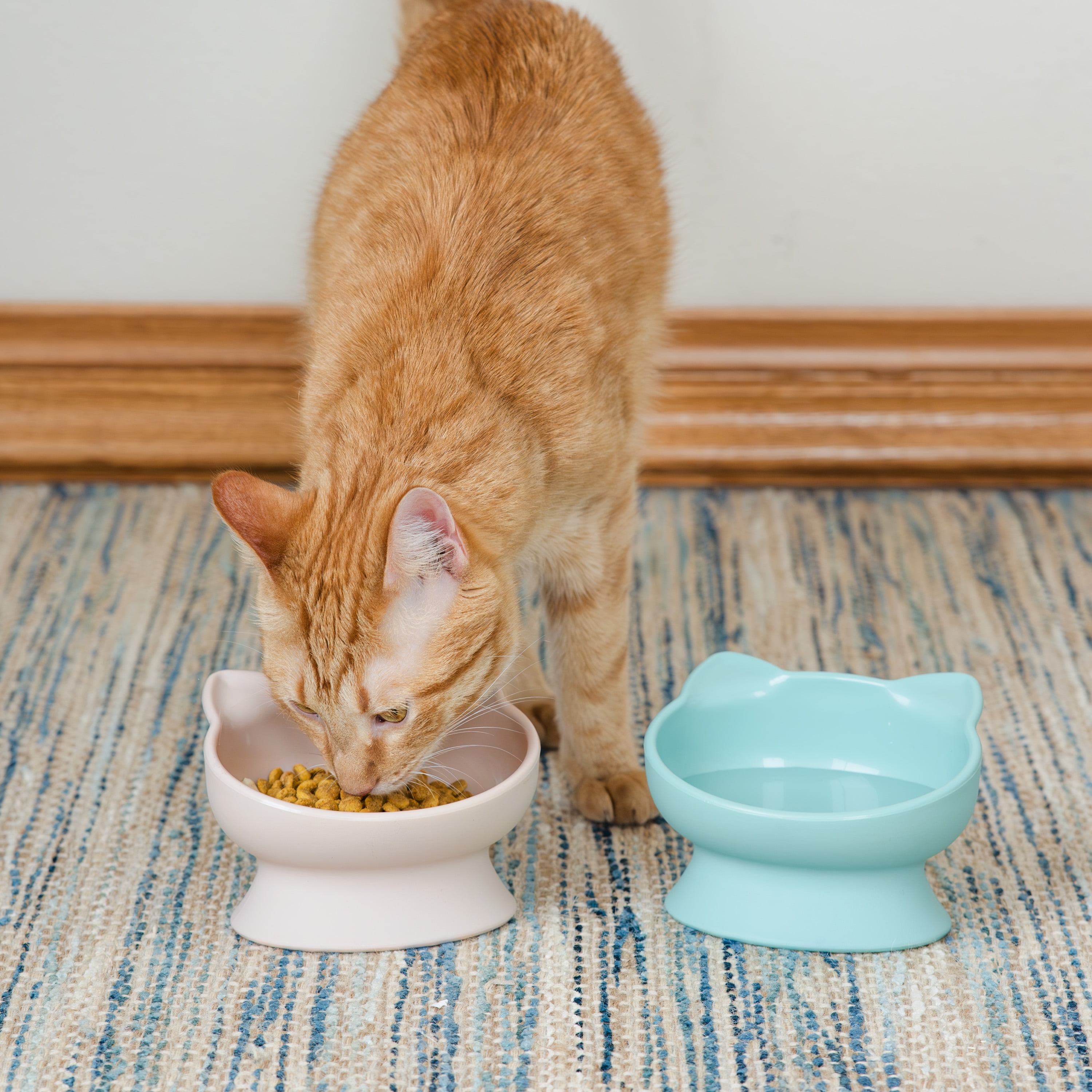 Kitty City Plastic Raised Cat Ear Bowls, Multicolored, 2 Pack Set