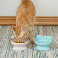 thumbnail image 3 of Kitty City Plastic Raised Cat Ear Bowls, Multicolored, 2 Pack Set, 3 of 6