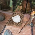 thumbnail image 3 of AURARMLET Para Comida Y De Reptiles Y Pequeños Color, 3 of 7