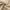 Brown, variant on Blackout Curtain Blinds Thermal Insulated Room Darkening Curtains,for Bedroom Nursery Office Noise Reducing Grommet Curtain Short Drapes,42*54in Green, 1 Panel