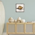 thumbnail image 3 of Stupell Industries Traditional Conch Shell on Beige Gray Floating Frame Canvas Art, 18 x 18, by Jacob Q, 3 of 7