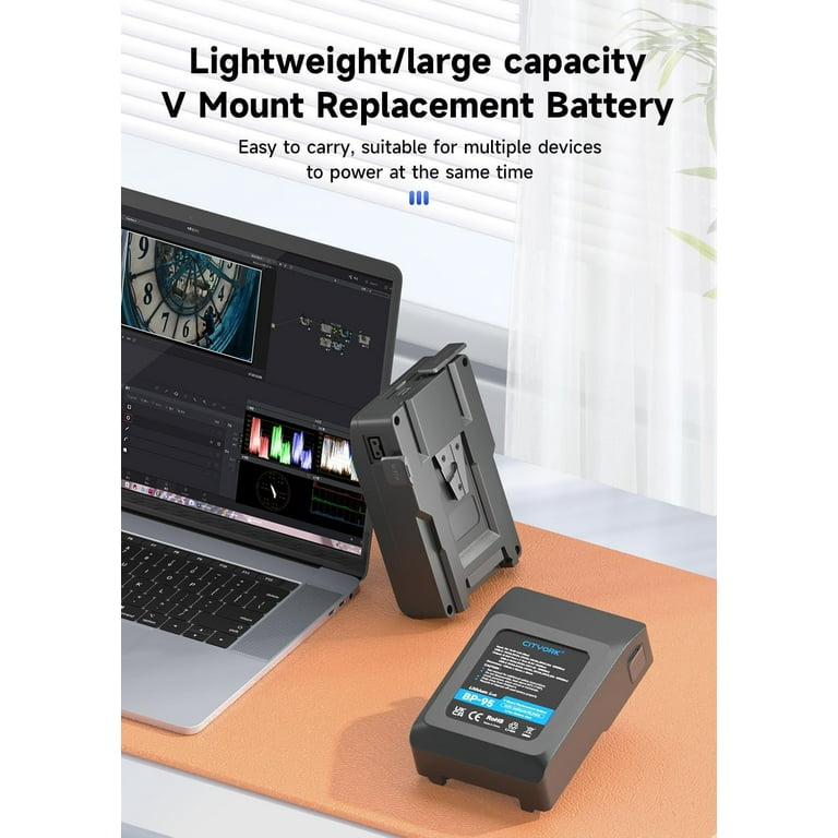 CITYORK Batterie V-Mount/V-Lock 95 Wh Pour Sony BP-95W Avec