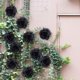 thumbnail image 4 of 10 cabezas de flores artificiales de seda para arreglos florales, decoración de bodas y Halloween. Negro, 4 of 9
