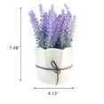 thumbnail image 4 of K-Cliffs Artificial Lavender 7.5" Potted Home Decor Purple Flowers in White Ceramic Pot, 4 of 5