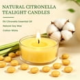thumbnail image 3 of Giphtpoeet 30 Pack Citronella Tealight Candles Outdoor Summer Natural Soy Wax Scented Candles Long-Lasting for Patio, Garden & Backyard, 3 of 8