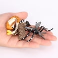 thumbnail image 4 of 1 Set Mosquito Model Home Realistic Simple Model for Displaying Educational Prop Education Playthings Mosquitoes Plaything Life Cycle Toy for School, 4 of 7