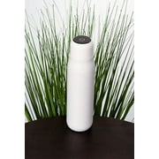 Lexi Home Insulated Stainless Steel Water Bottle with UV