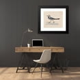 thumbnail image 4 of Ferdinand von Wright 23x20 Black Modern Framed Museum Art Print Titled - White Wagtail, 4 of 5