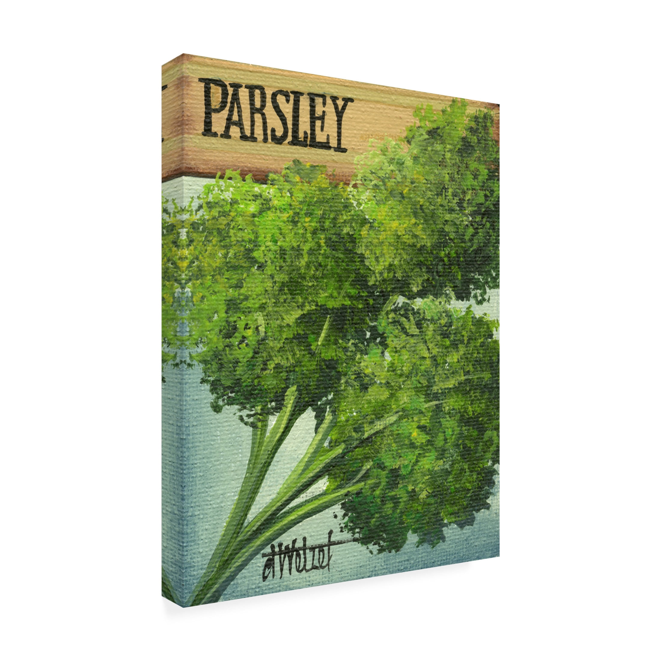 Canvas Wall Art - Debbi Wetzel 'Seed Packets 30 - Parsley' Wall Art for Living Room, Bedroom, or Office Décor by Trademark Fine Art - 14 x 19 Inches