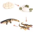 thumbnail image 5 of Animal Growth Cycle Biological Model Toy Growth Stage Lifelike Crocodile Life Cycle Model Set for Kids Education Insect Themed Party Favors, 5 of 5