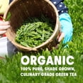 thumbnail image 3 of Té verde matcha en polvo Wilderness Poets, 350 ml, de Japón, 3 of 6