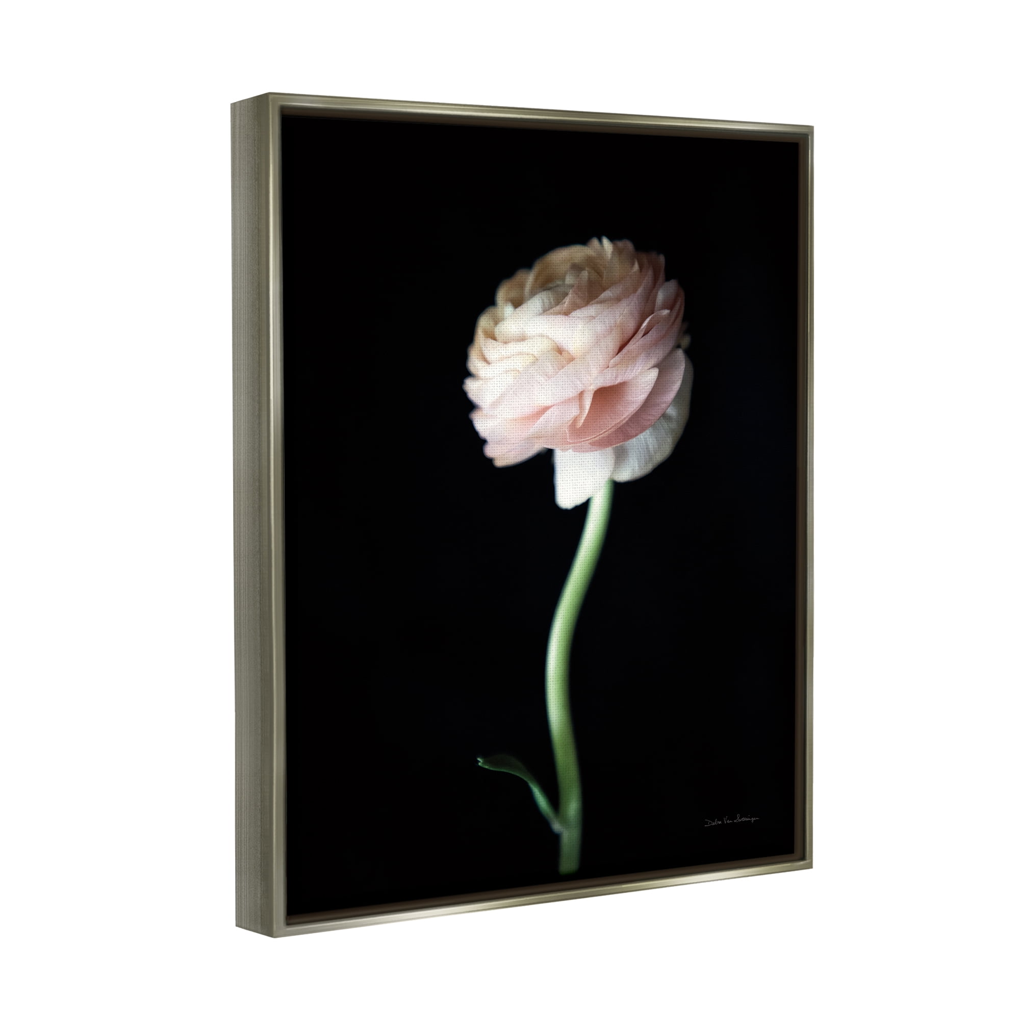 Stupell Industries Ranunculus Flower Photography Botanical & Floral Photography Gray Floater Framed Art Print Wall Art, 25 x 31