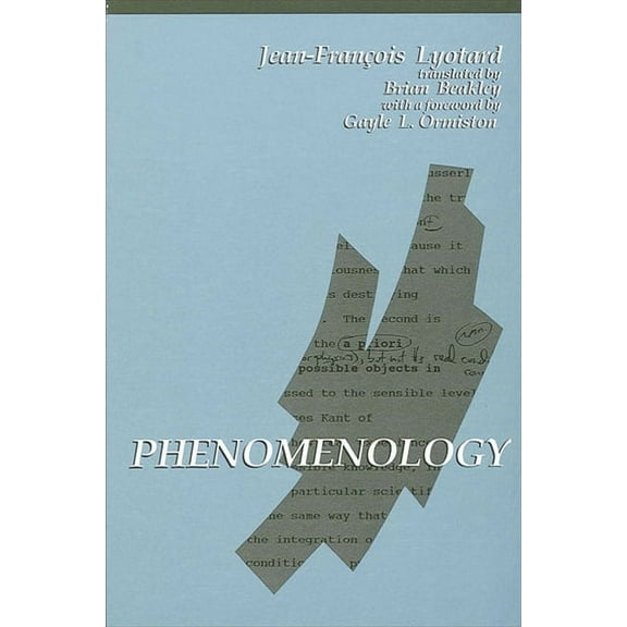 Suny Contemporary Continental Philosophy: Phenomenology (Paperback)