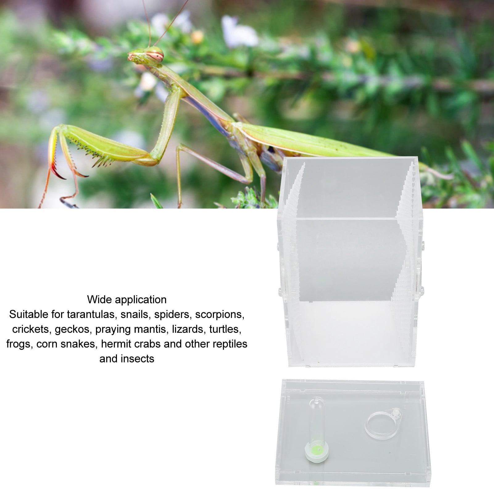 NFTIGB Acrylic Reptile Insect Enclosure Tank High Transparency Moisturizing Breeding Box L for Jumping Spider Tarantula Mantis (7.8 x 5.5 x 4.3 inches / 20 x 14 x 11 cm) Clear Terrarium