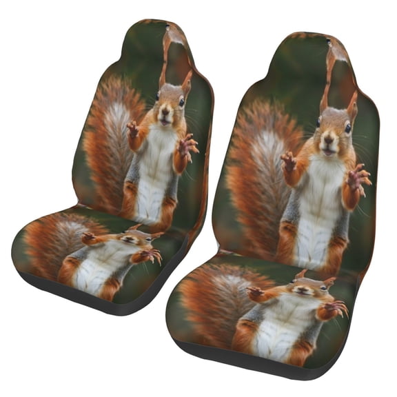 KAKALAD Squirrel Funny Animal Meets 01 Car Accessories Seat Covers Set Vehicle Seat Covers Universal Front Seats Protector 2 Pcs