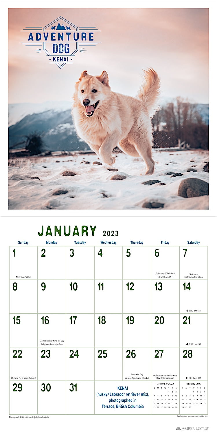 THE CABIN COMPANY カレンダー2023 THE ANIMALS Amazon.com: Funny Animals Calendar 2024 - 2025: 24 Months