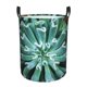 thumbnail image 1 of Fotbe Teal Cactus Cesto de Ropa con Asas, Cesto Impermeable de Gran Capacidad, Bolsa de Lavado para Dormitorio, Cesto de Ropa con Ruedas y Asas-Small, 1 of 6
