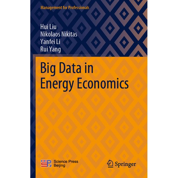 Management for Professionals Big Data in Energy Economics, (Paperback)