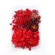 thumbnail image 5 of Flores secas Bewildely para manualidades y velas 2Conjunto tipo6, 5 of 6