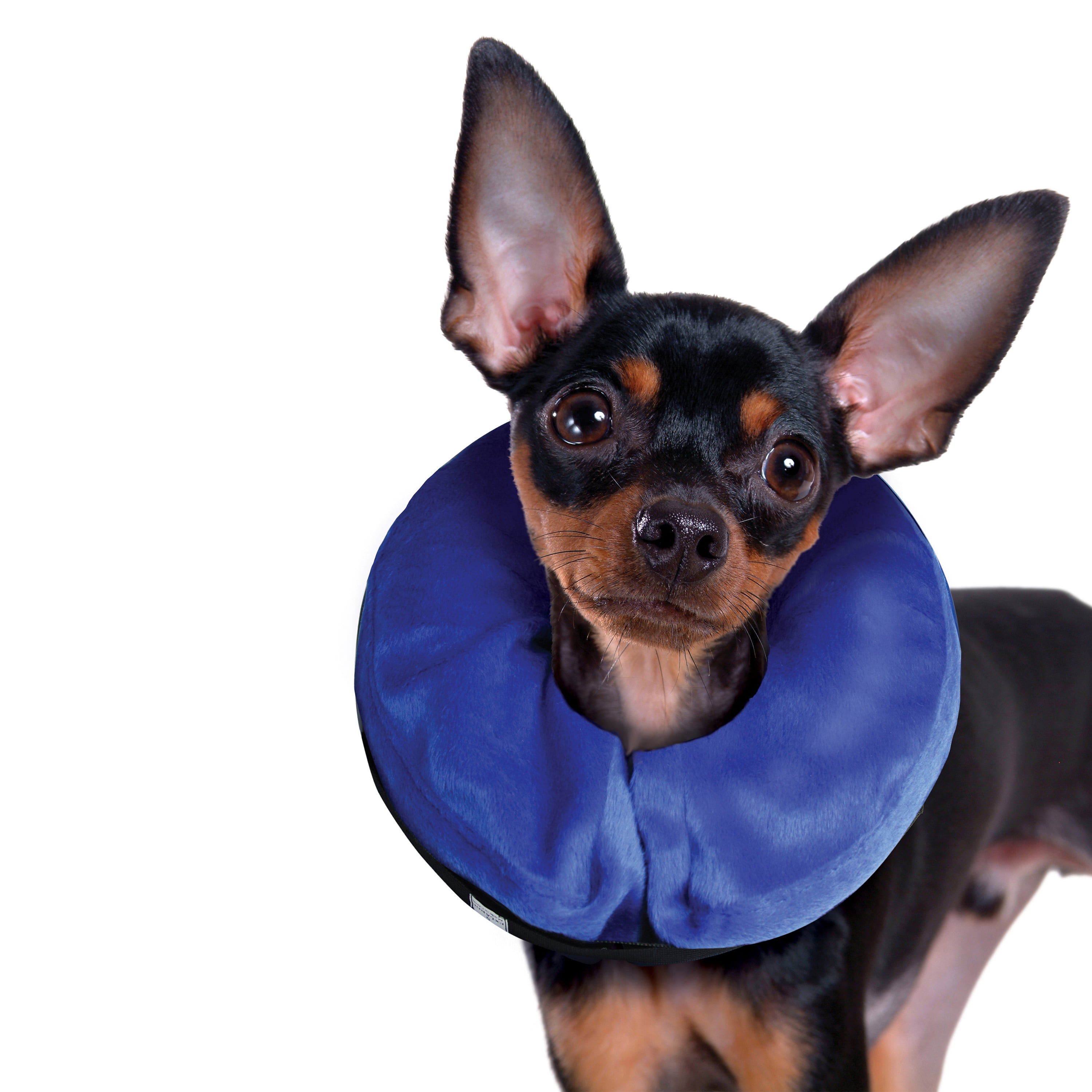 KONG® Cloud Recovery Collar, Scratch and Bite Resistant , Small, for Dogs Up to 20 lbs