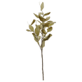 thumbnail image 1 of Bouclair Khaki Artificial Magnolia Leaf Stem, 1 of 2
