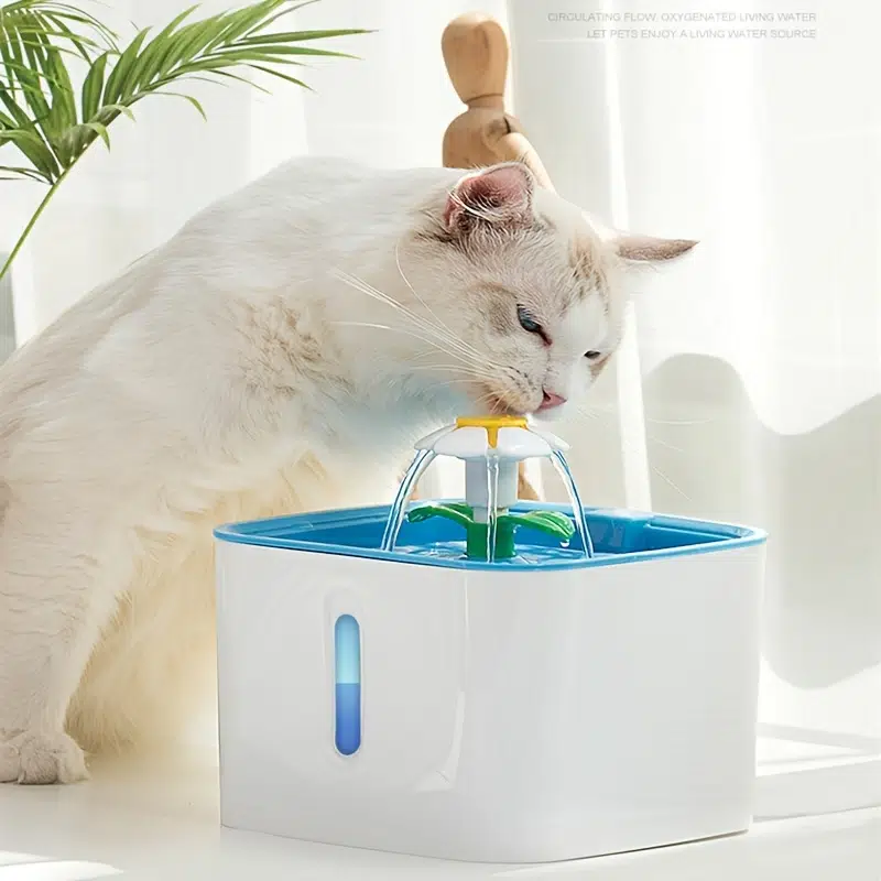 indoor cat water fountains