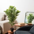 thumbnail image 5 of Vickerman 35" Artificial Green Real Touch Zebra Plant., 5 of 6