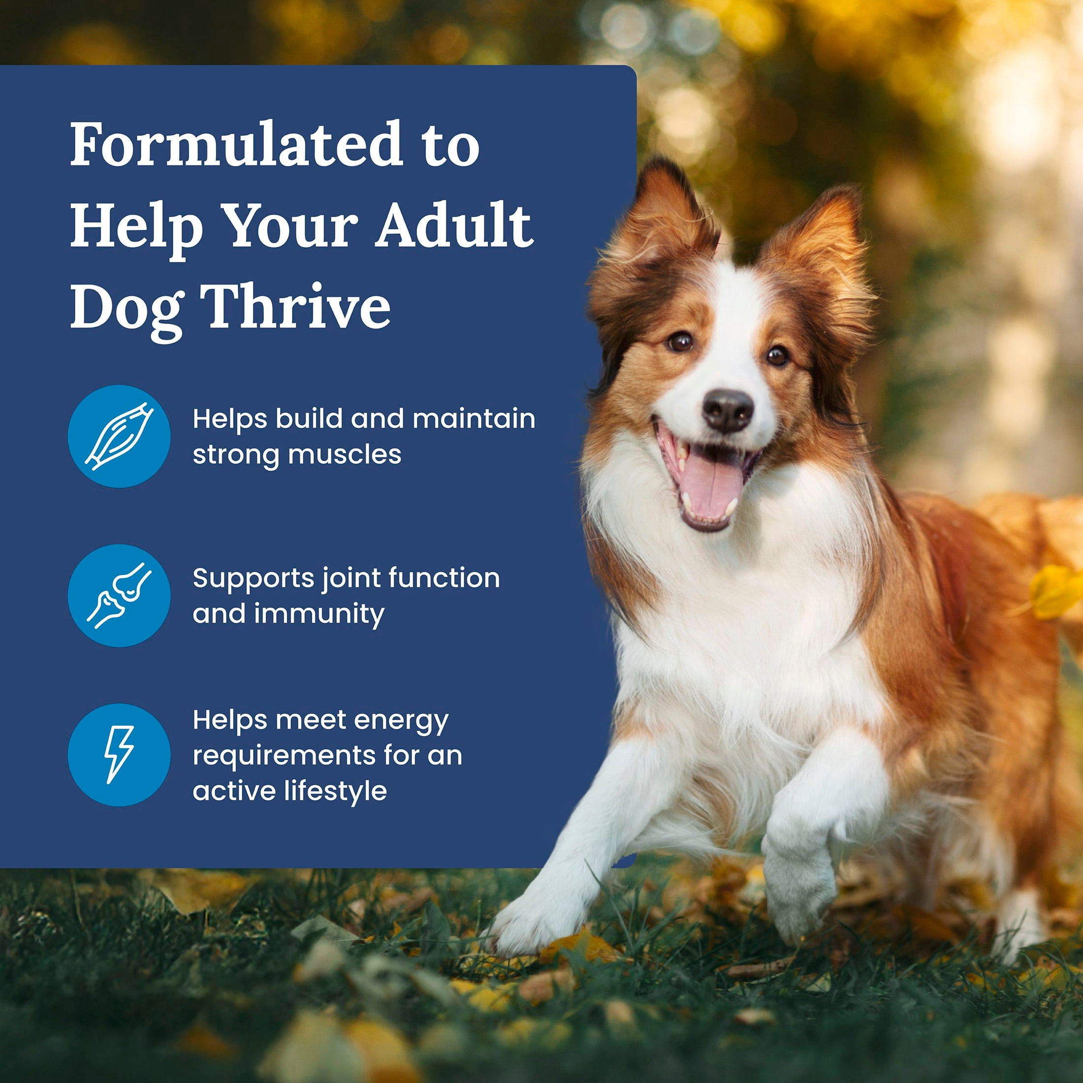 Blue Buffalo Life Protection Formula, Natural Adult Dry Dog Food, Salmon, 24lb