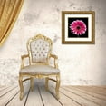 thumbnail image 3 of Frank, Assaf 20x20 Gold Ornate Wood Framed with Double Matting Museum Art Print Titled - AF20120911 Gerbera 015C19, 3 of 4