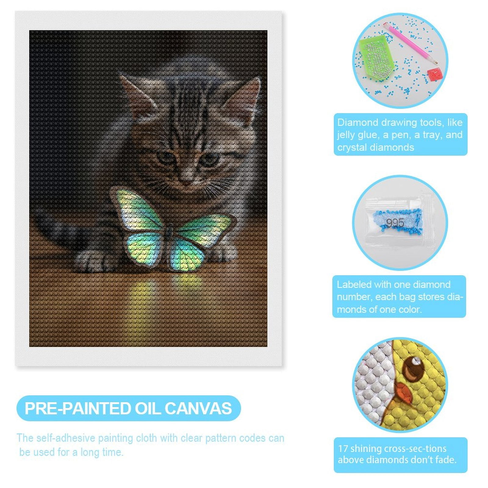 Diamond Art Kits for Adults, Young Cat Curious Blue Butterfly 5D Diamond Painting Kits for Adults Beginners, DIY Full Drill Diamond Painting, Gem Art and Crafts 12x16