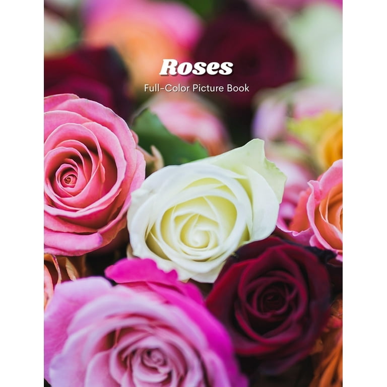 Picture Of Rose Flower Without Colour Best Flower Site