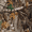 Camo, variant on Realtree Men's Moisture Wicking Thermal Base Layer Tee, Sizes S-2XL