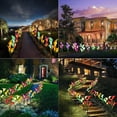 thumbnail image 7 of Solar Outdoor Garden Waterproof Stake Lights with 4 Calla Lily LED Flowers for Home Garden, Patio, Christmas Decoration (Red,2PCS), 7 of 7