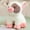 B, variant on Cute Plush Pig Stuffed Animal, Soft Polyester Fiber Pig Plush Toy for Kids 3+, Washable Indoor Outdoor Plush Doll for Home Decor and Gifting