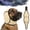 Beige, variant on Zenpup Noise Cancelling Ear Wrap, No Flap Ear Wrap for Dogs, Waterproof Dog Head Wrap