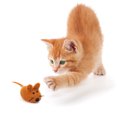 thumbnail image 4 of Cat Mice Toy Creative Felt Interactive Catnip Toy Cat Teaser Toy Kitten Mice Toy, 4 of 4